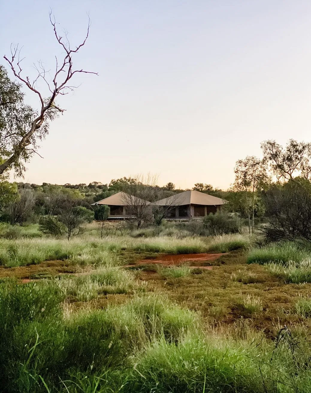 Camping, Kings Canyon