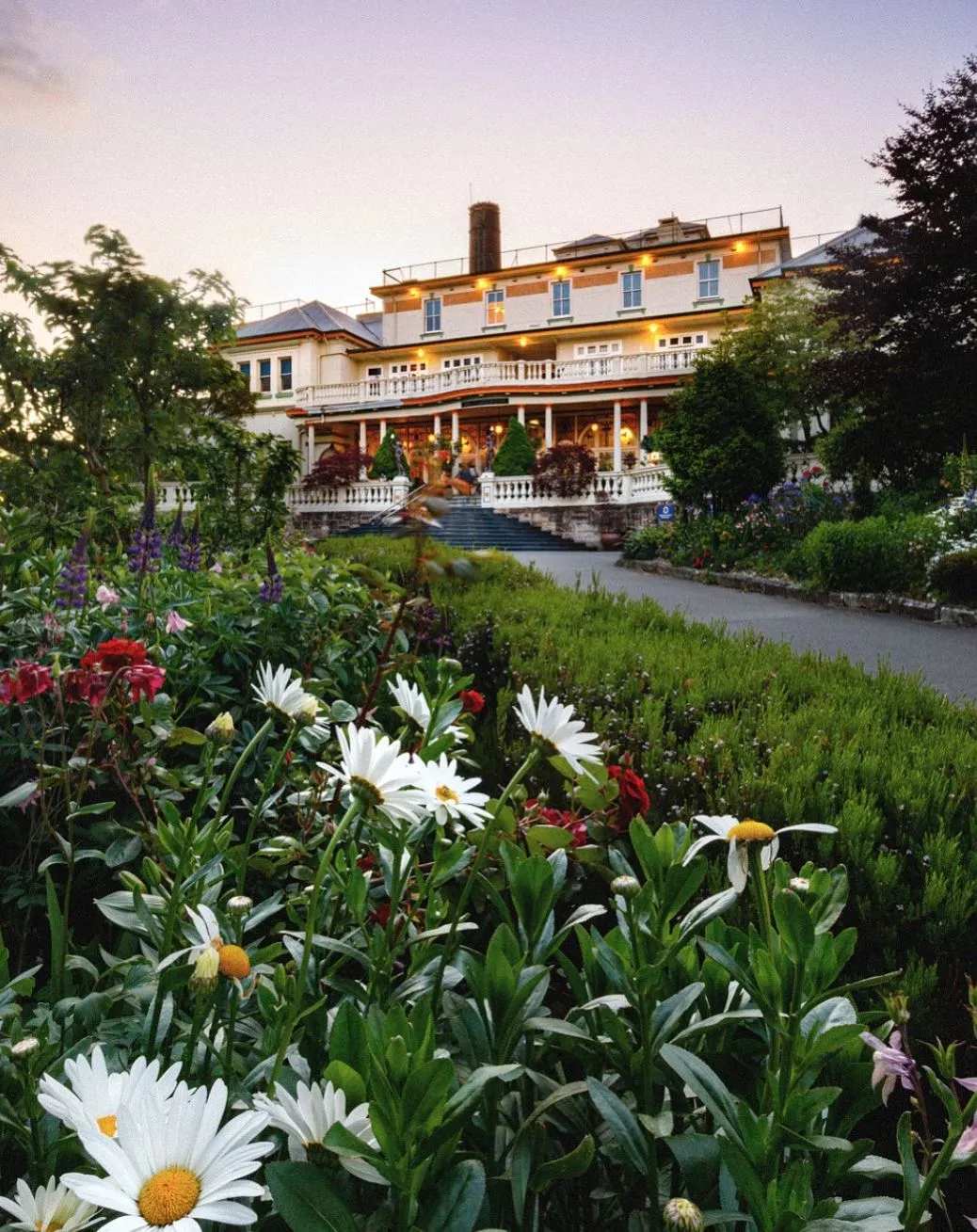 The Carrington Hotel