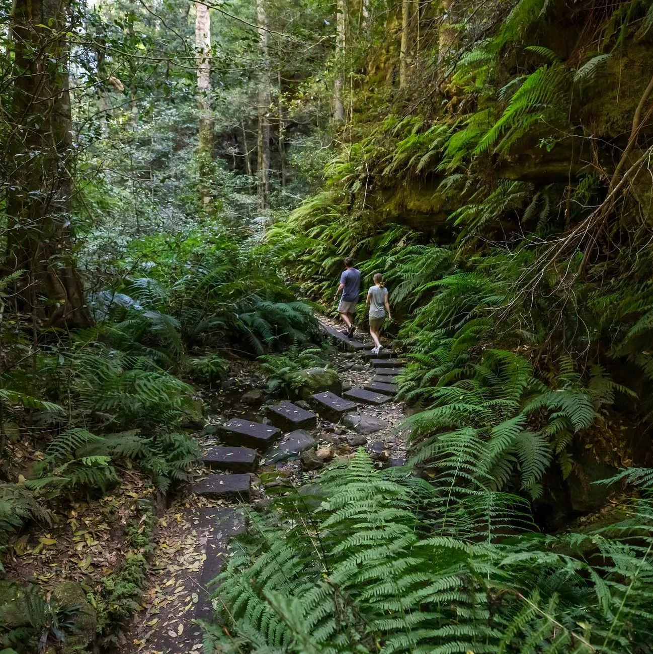 Tuesday Calm, Perfect For Serious Hikers
