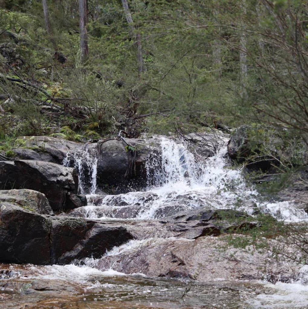 What to See, Wild Dog Creek Falls