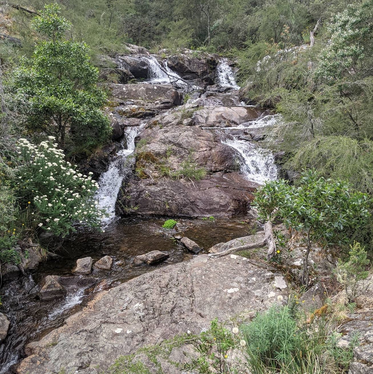 Wild Dog Creek Falls, A Must-See on Great Ocean Road